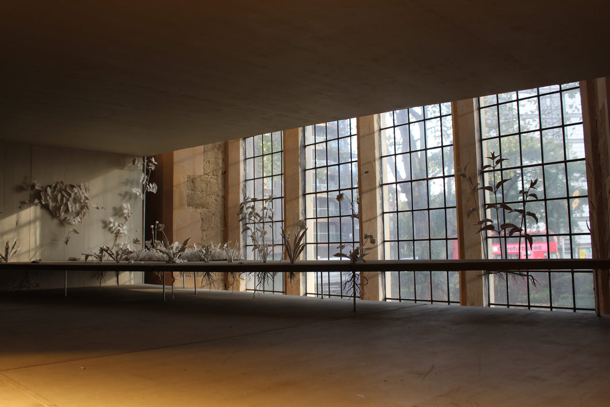 Exhibition Catalogues