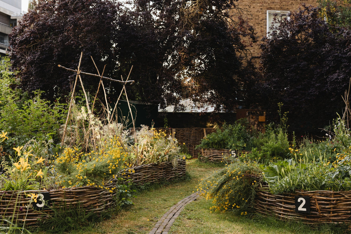 Books, Catalogues and Journals