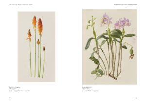 The Botanical World of Raymond Booth Catalogue