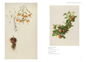 The Botanical World of Raymond Booth Catalogue