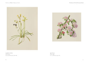 The Botanical World of Raymond Booth Catalogue