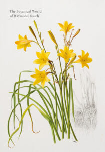The Botanical World of Raymond Booth Catalogue