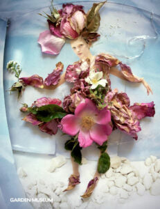 Wild & Cultivated: Fashioning Rose Catalogue