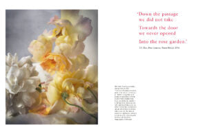 Wild & Cultivated: Fashioning Rose Catalogue