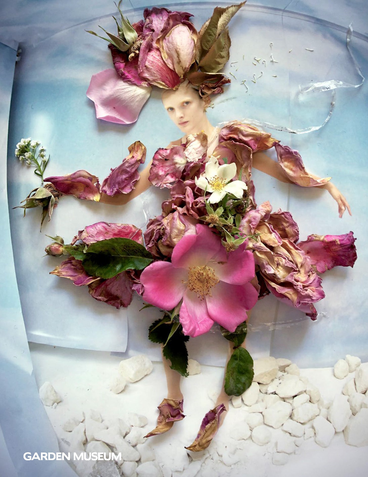 Wild & Cultivated: Fashioning the Rose Catalogue