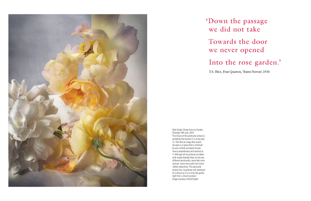Wild & Cultivated: Fashioning the Rose Catalogue