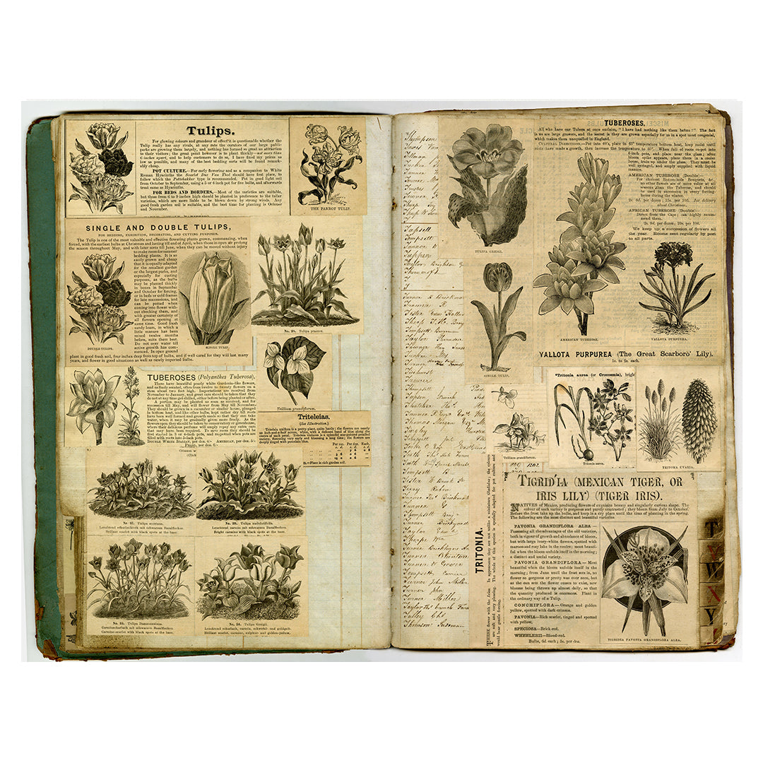 Garden Museum Journal No. 38 | The Elphick’s Archive