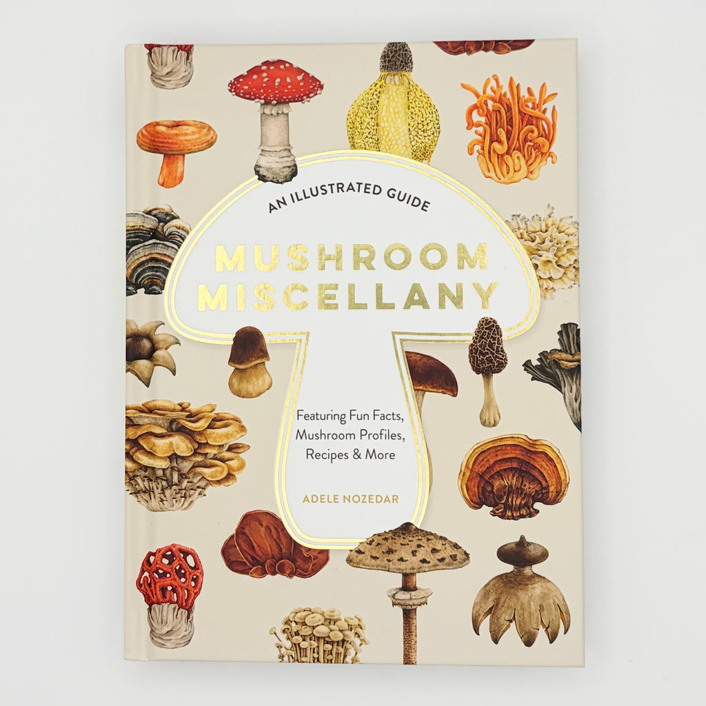 Mushroom Miscellany