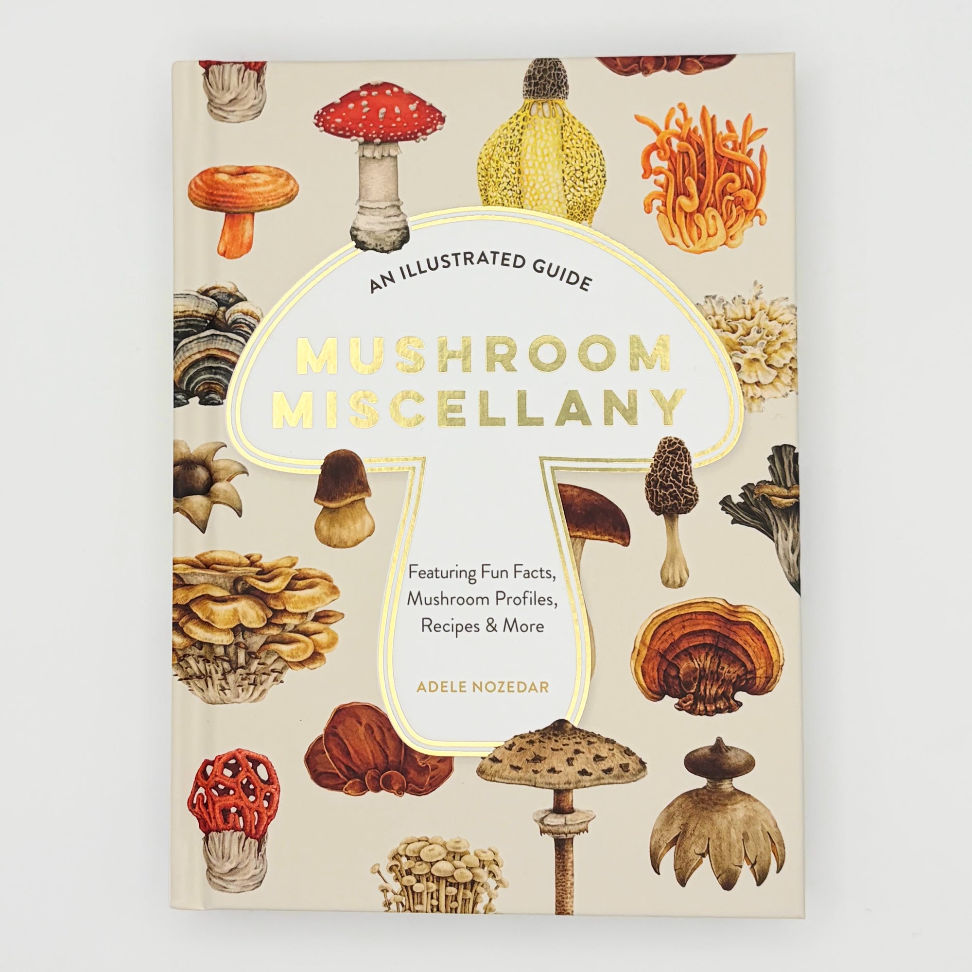 Mushroom Miscellany