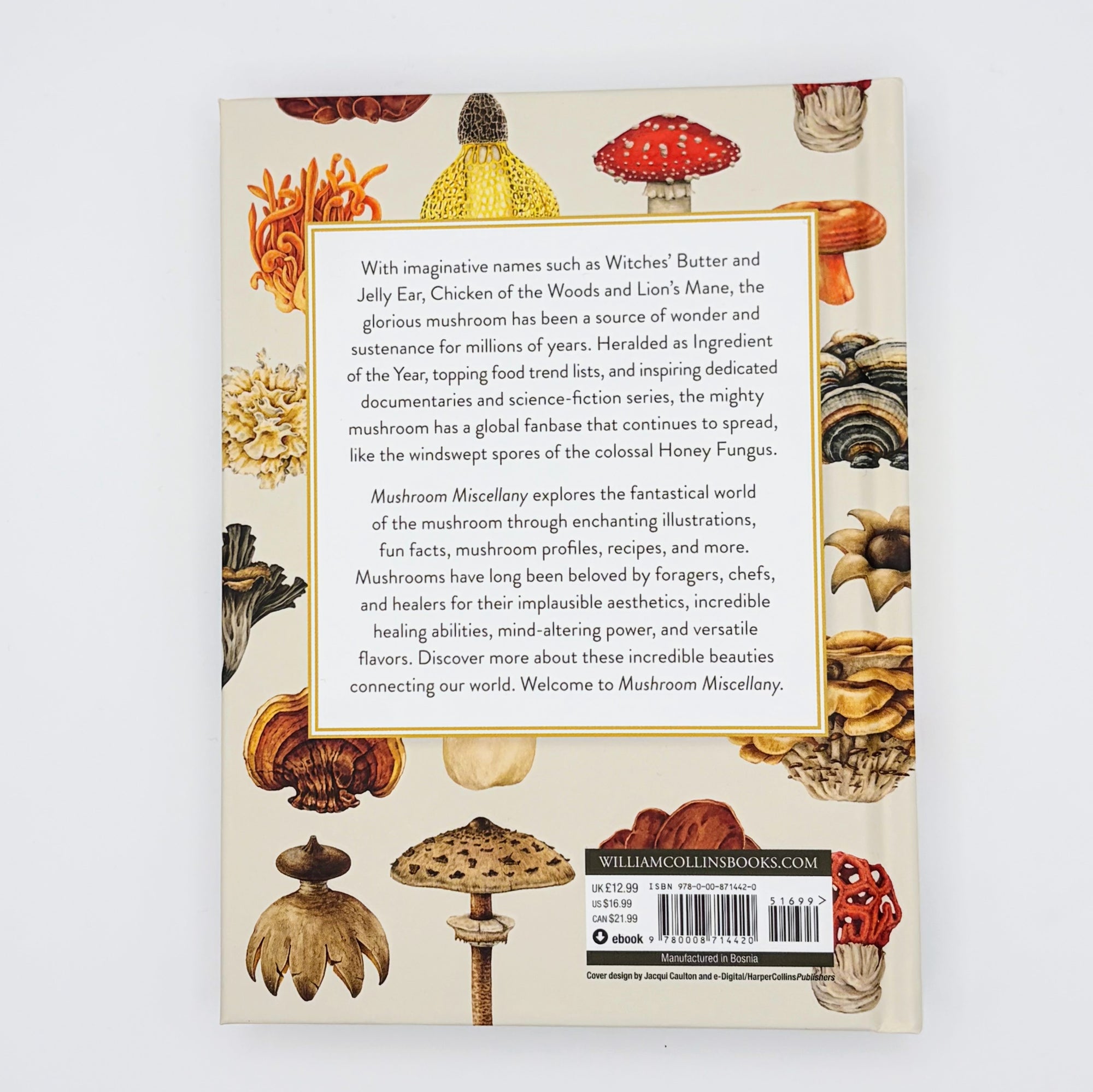 Mushroom Miscellany