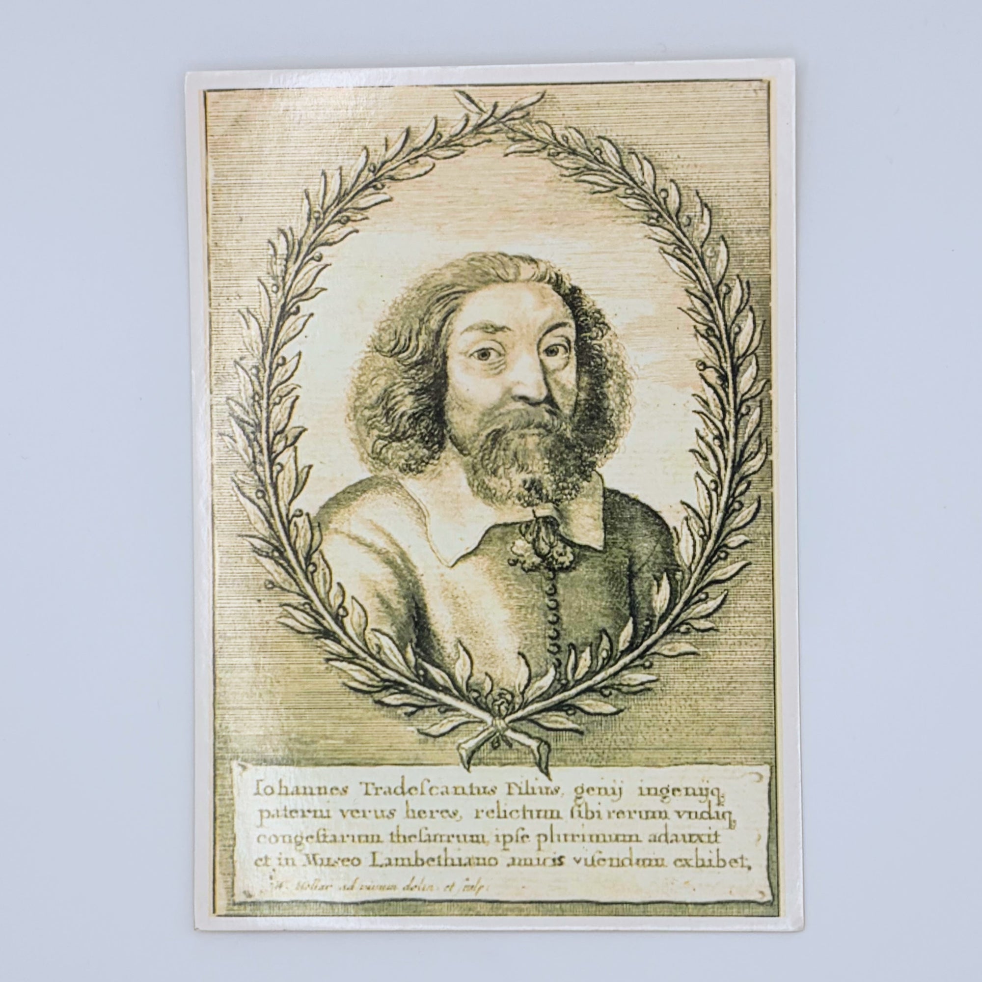 John Tradescant Junior Postcard