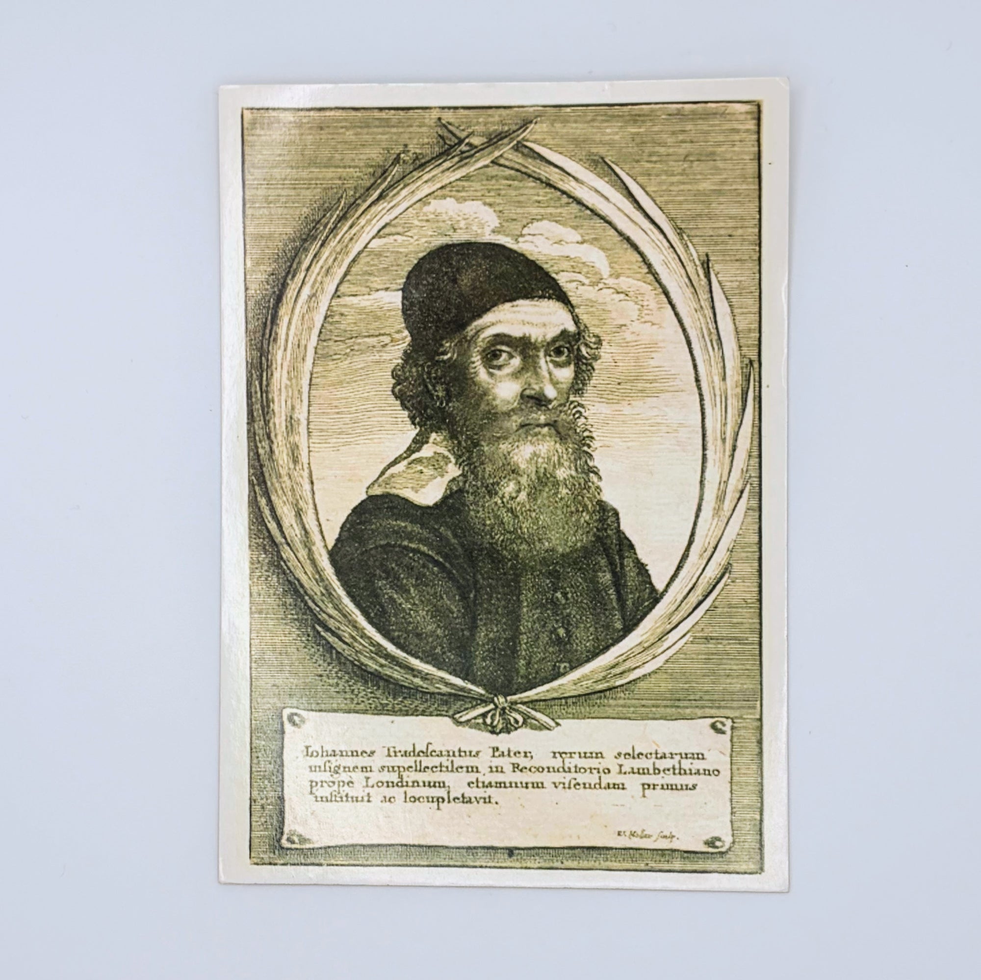 John Tradescant Senior Postcard