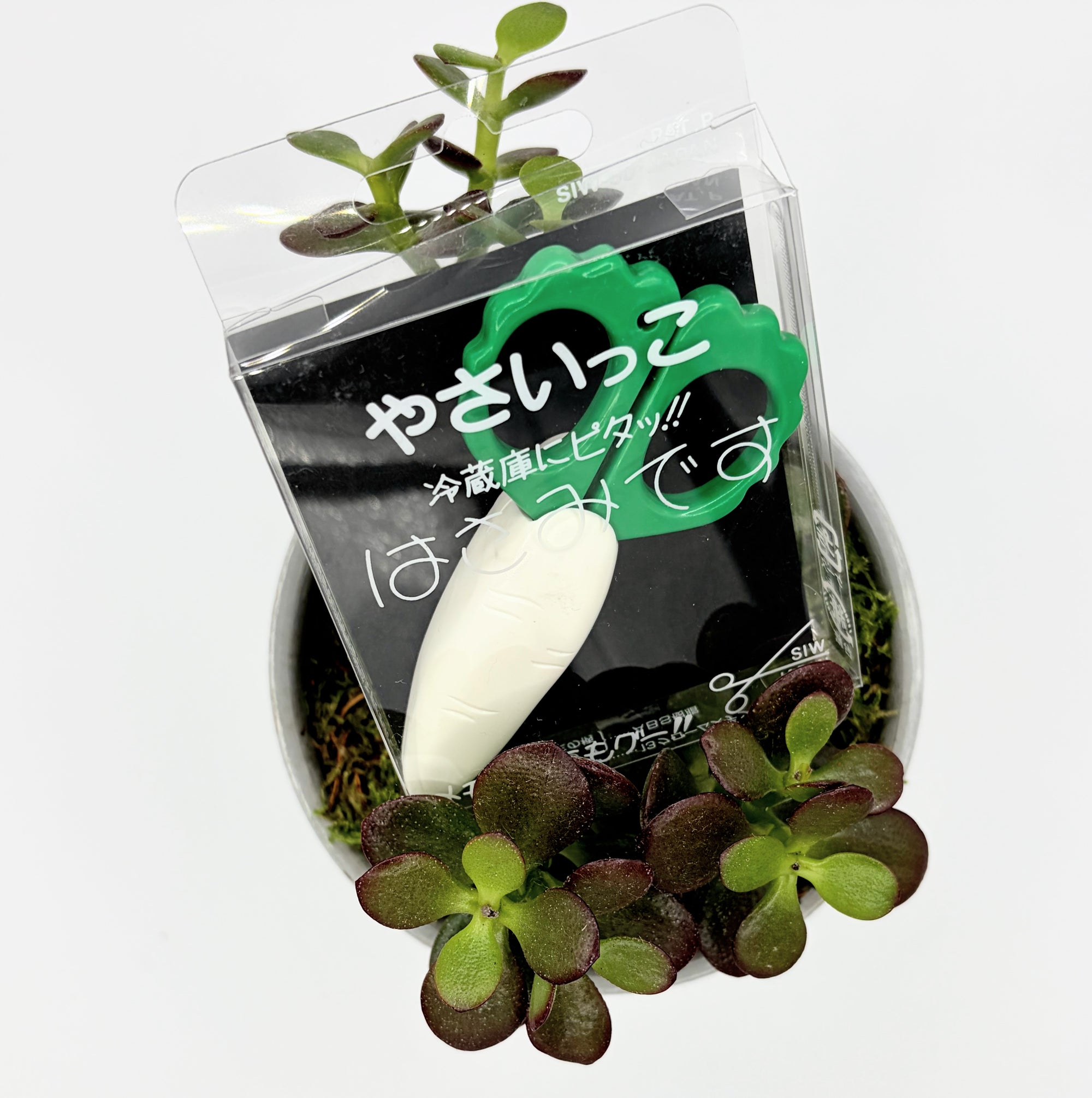 Fridge Magnet Scissors Daikon