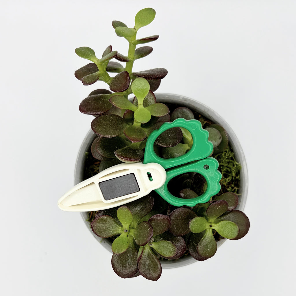 Fridge Magnet Scissors Daikon