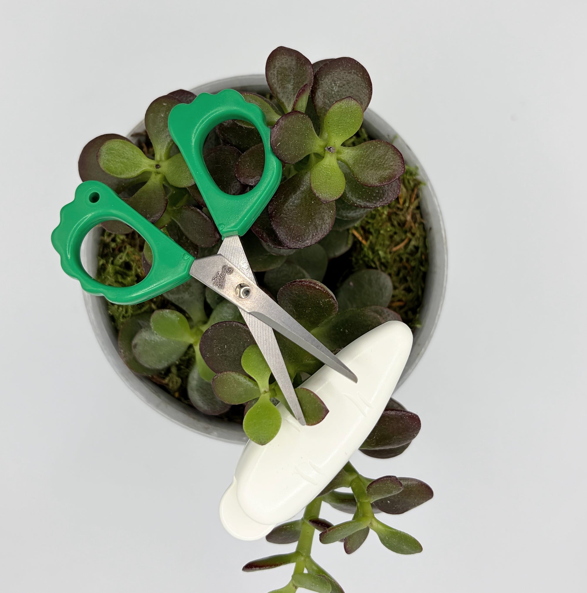 Fridge Magnet Scissors Daikon