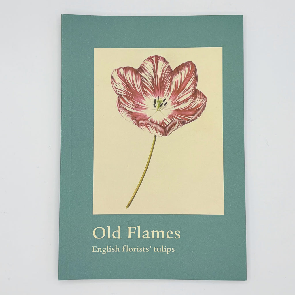 Old Flames: English florists' tulips