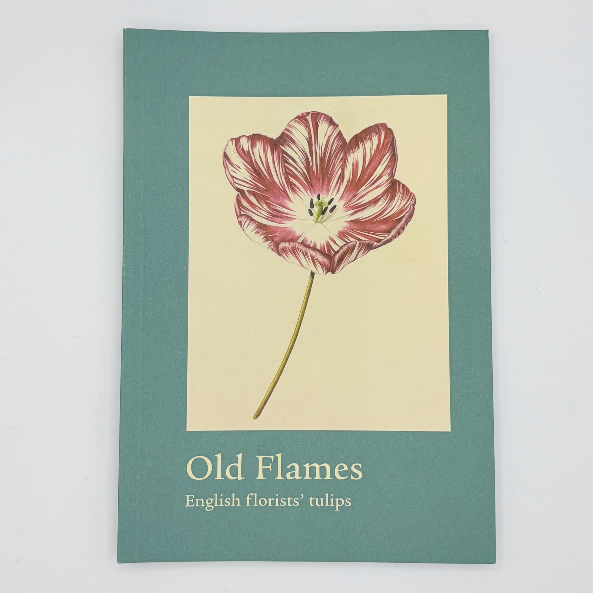 Old Flames: English florists' tulips