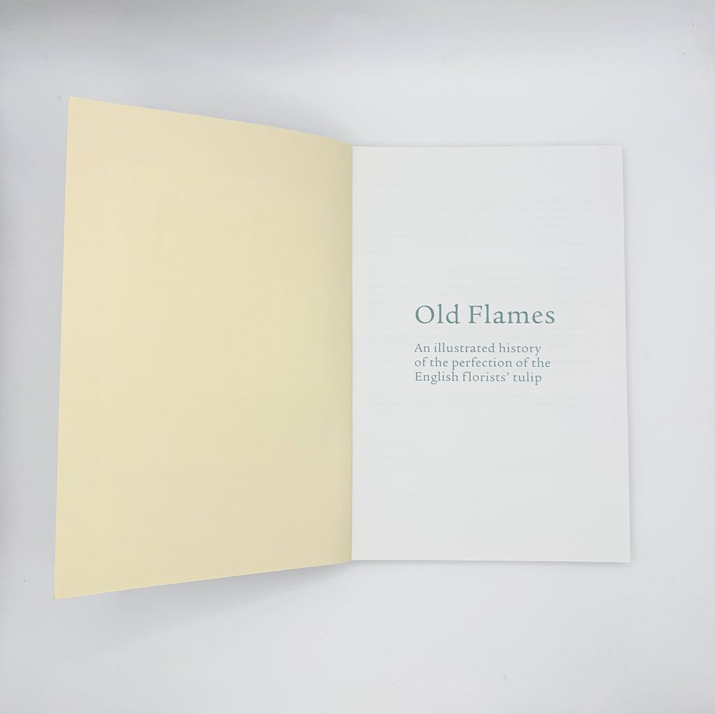 Old Flames: English florists' tulips
