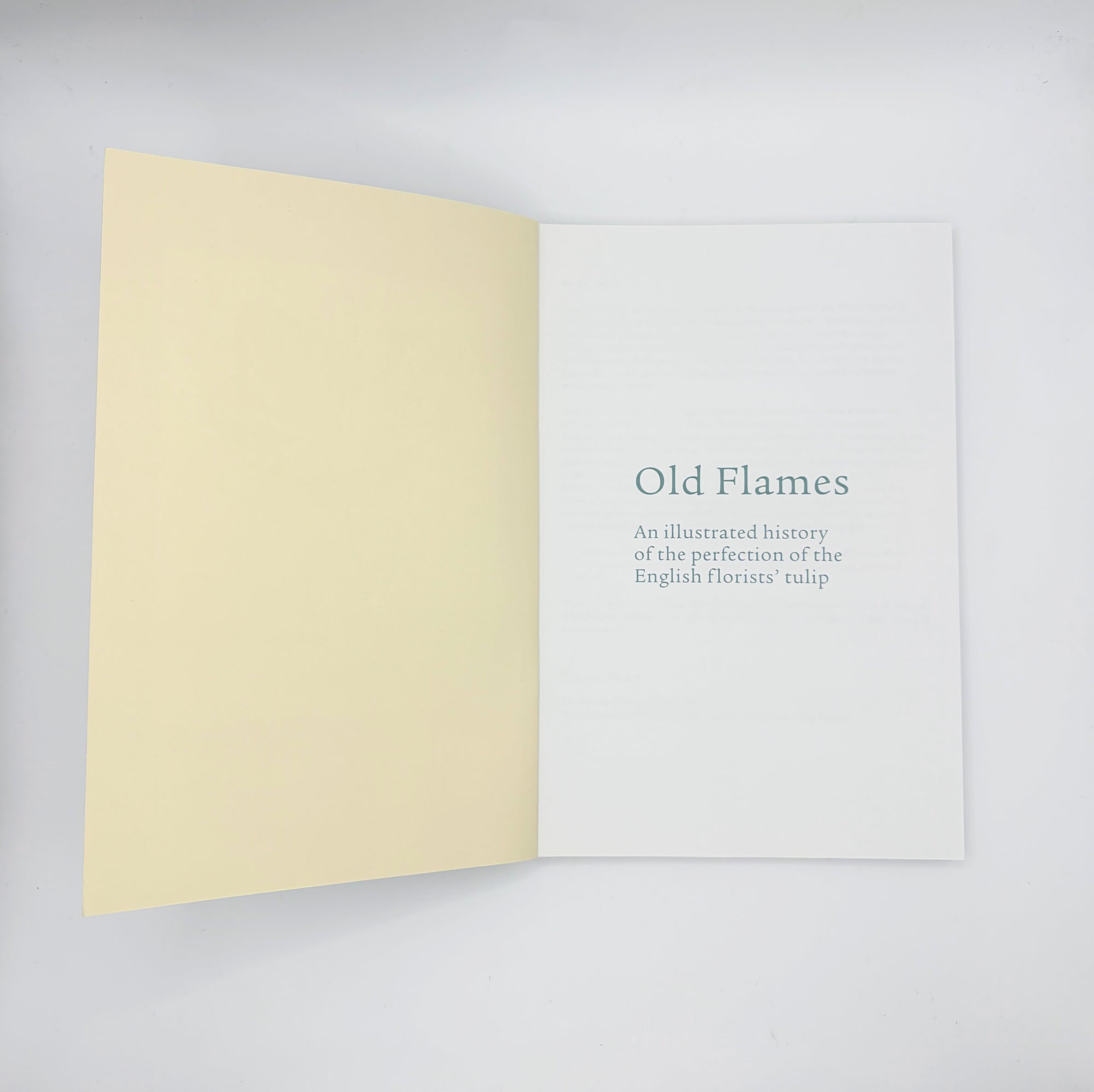 Old Flames: English florists' tulips