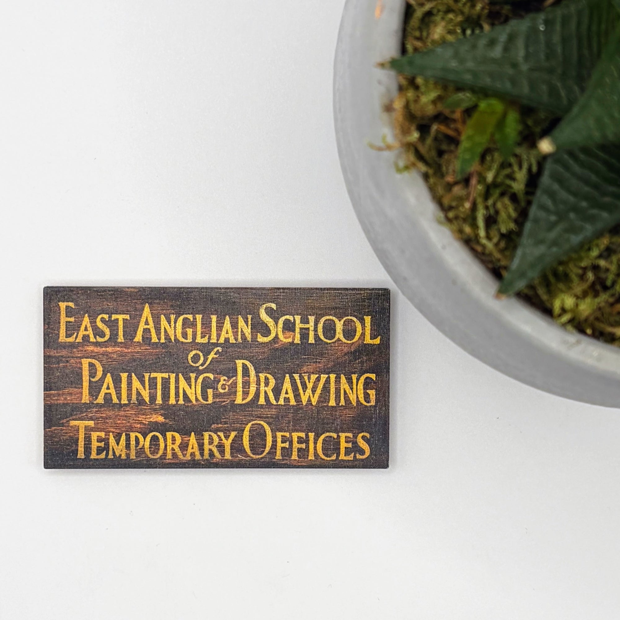East Anglian School Magnet
