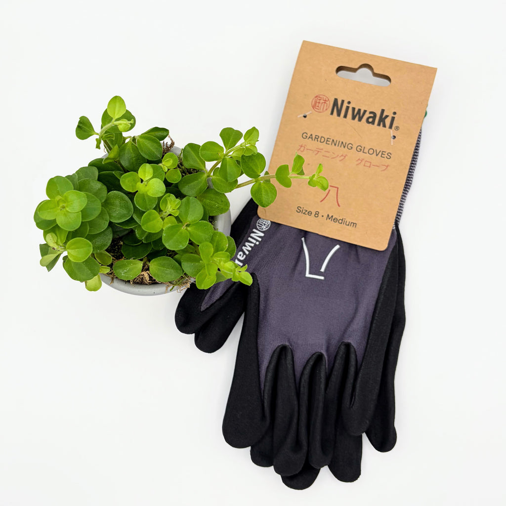 Niwaki Gardening Gloves Medium