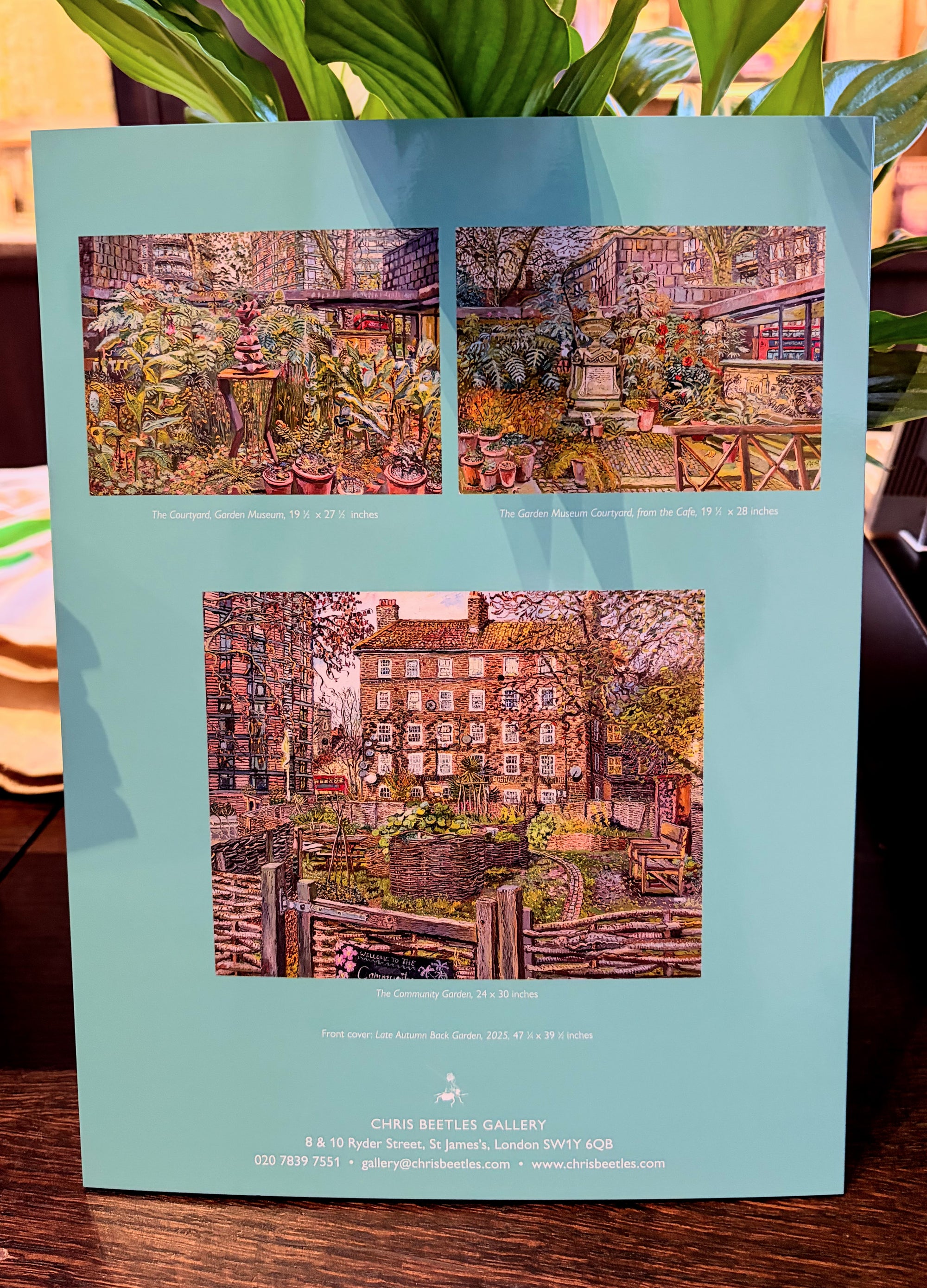 Melissa Scott Miller Brochure