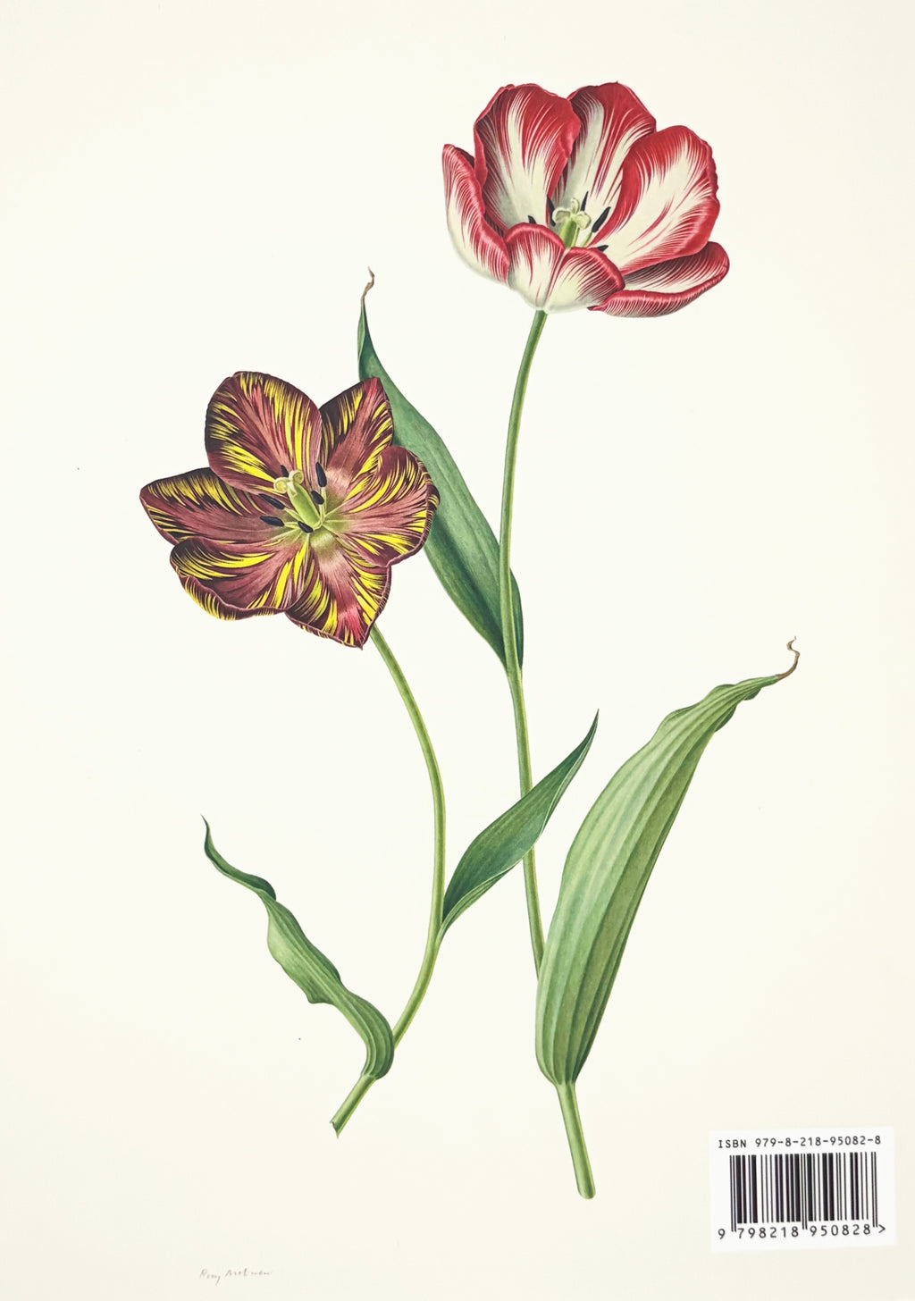 Rory McEwen: A New Perspective on Nature