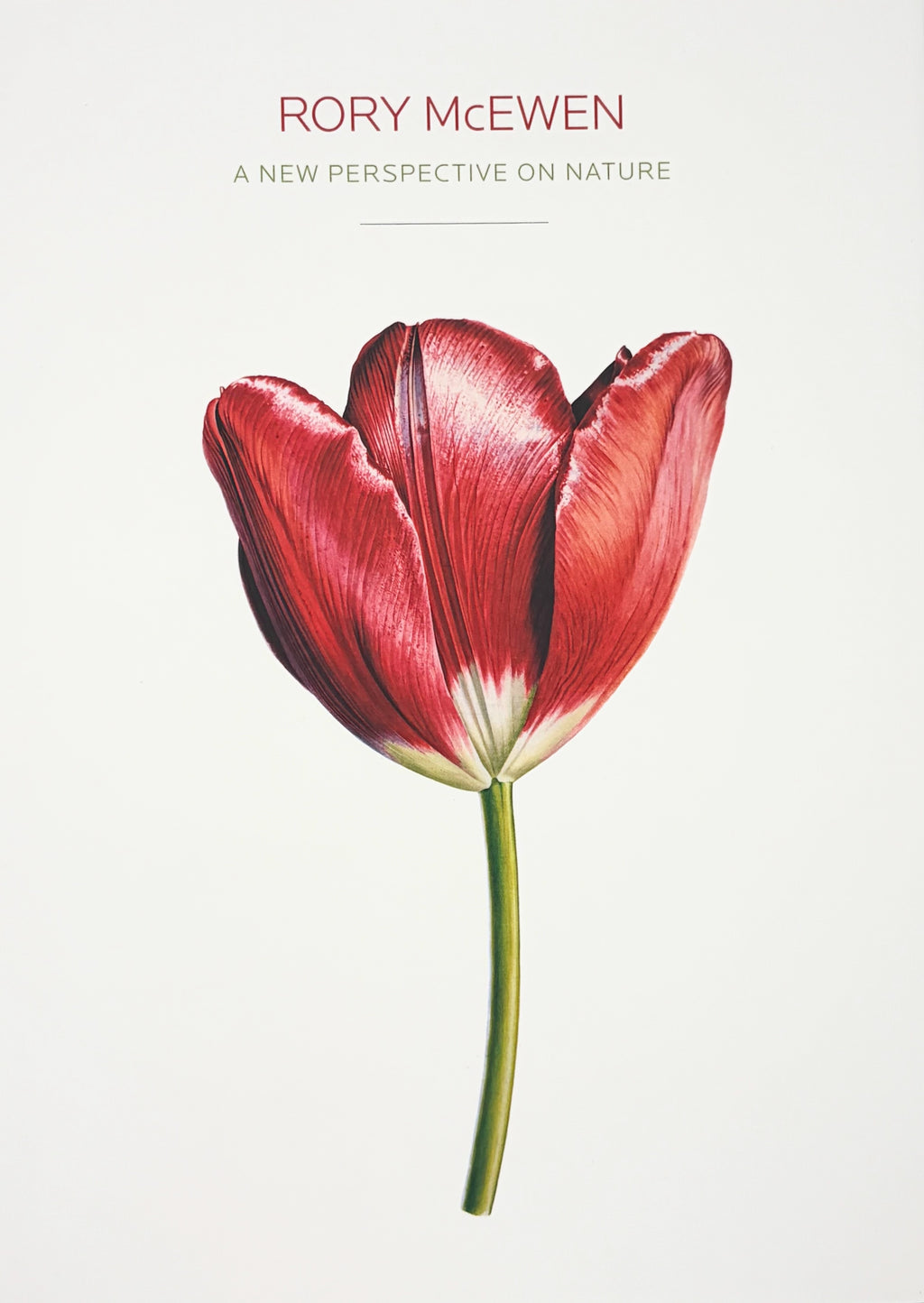 Rory McEwen: A New Perspective on Nature