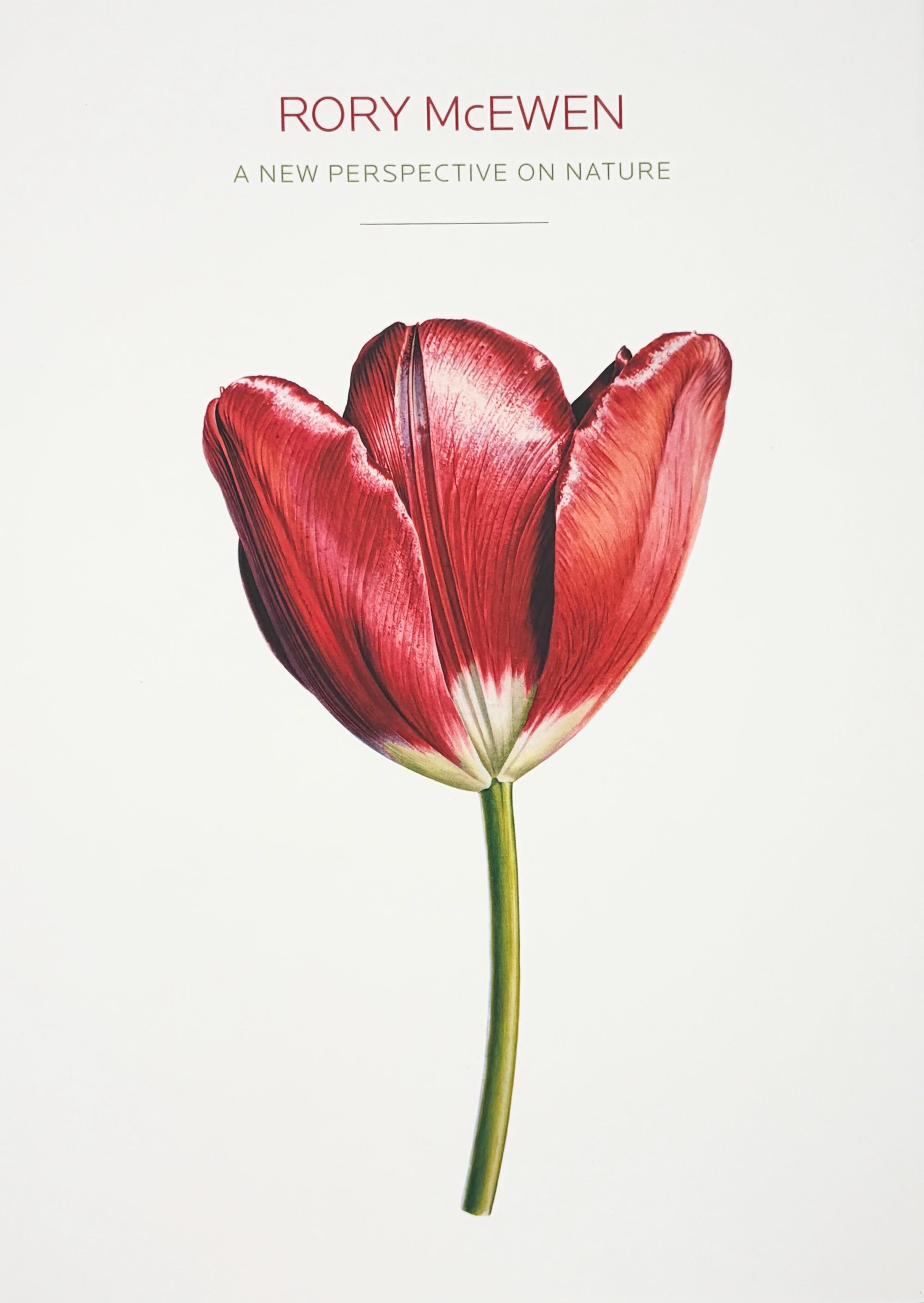 Rory McEwen: A New Perspective on Nature