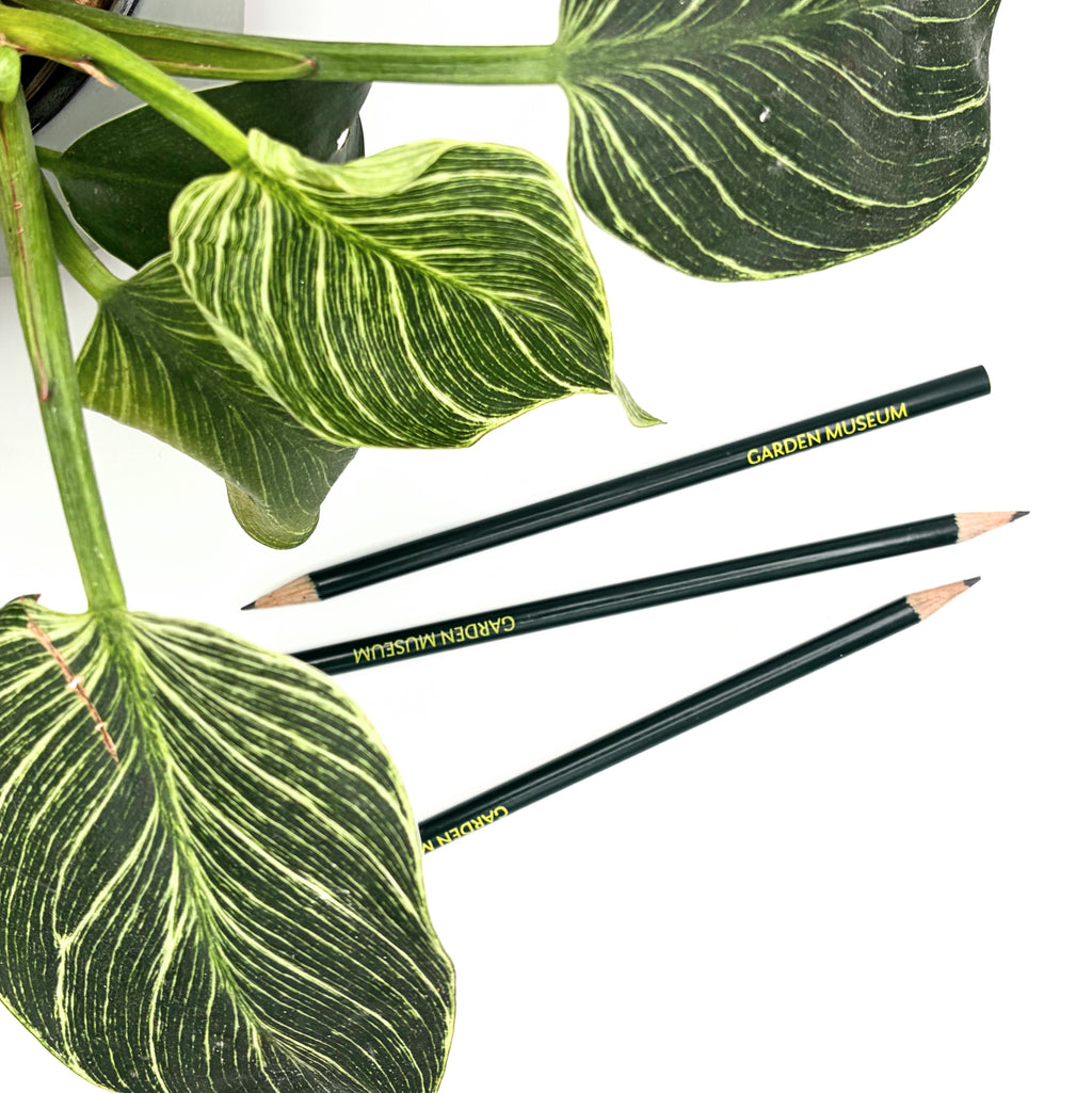Garden Museum Pencil