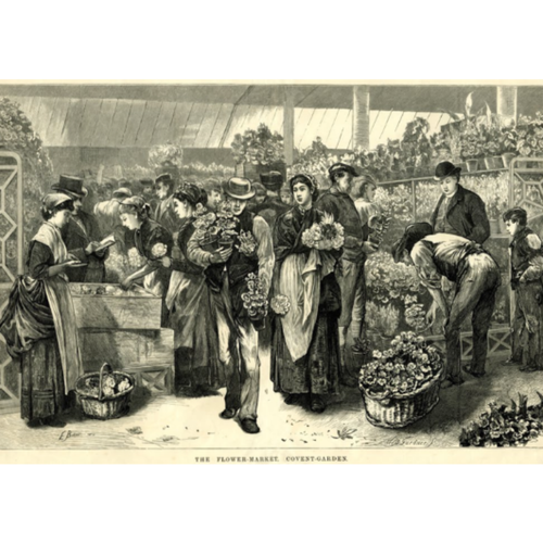 "The Flower Market" Postcard