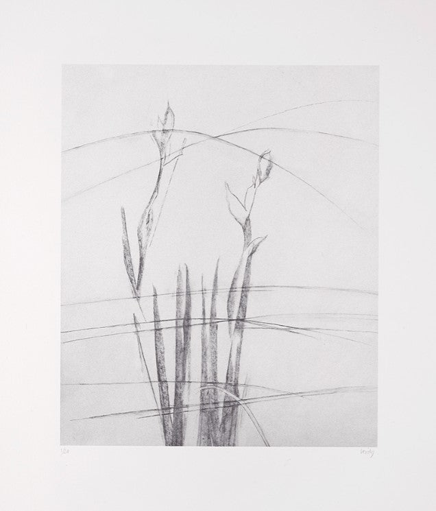 Garden Museum Journal No.35 | Charlotte Verity In Their Garden