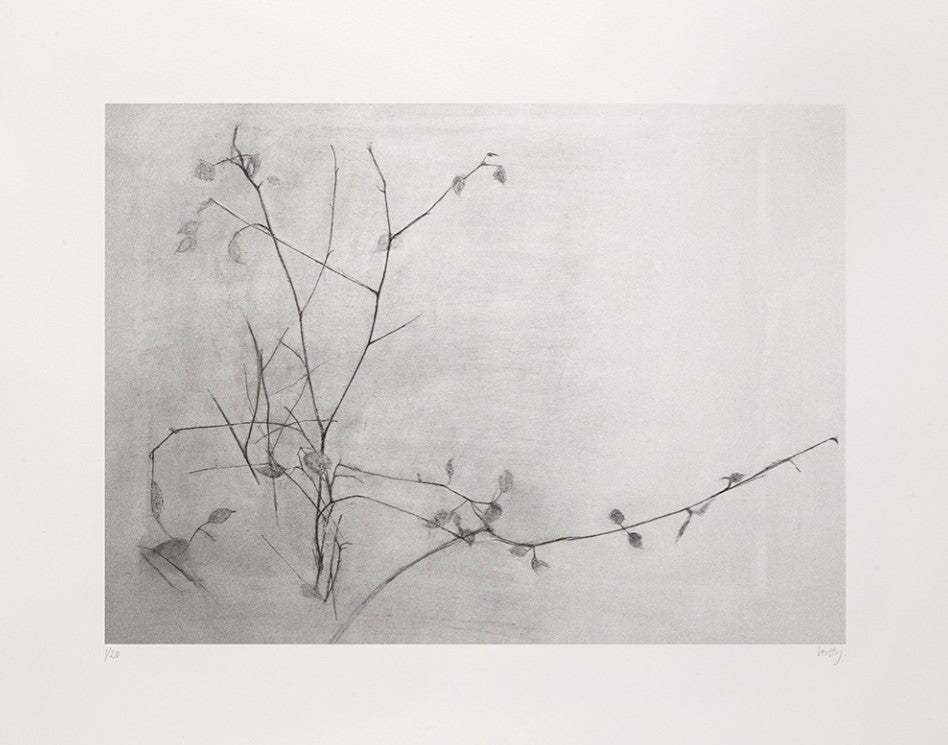 Garden Museum Journal No.35 | Charlotte Verity In Their Garden