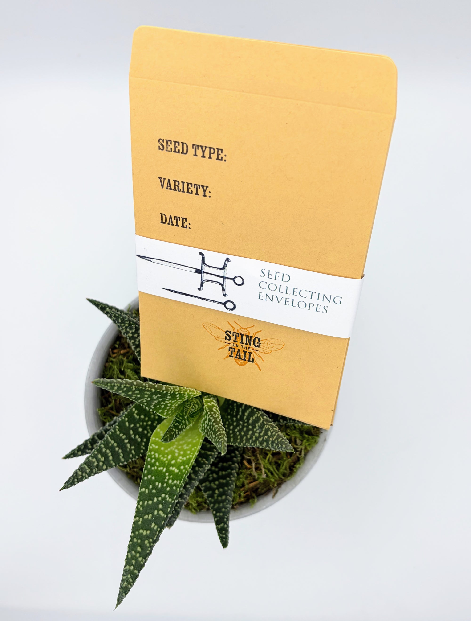 Seed Collecting Envelopes