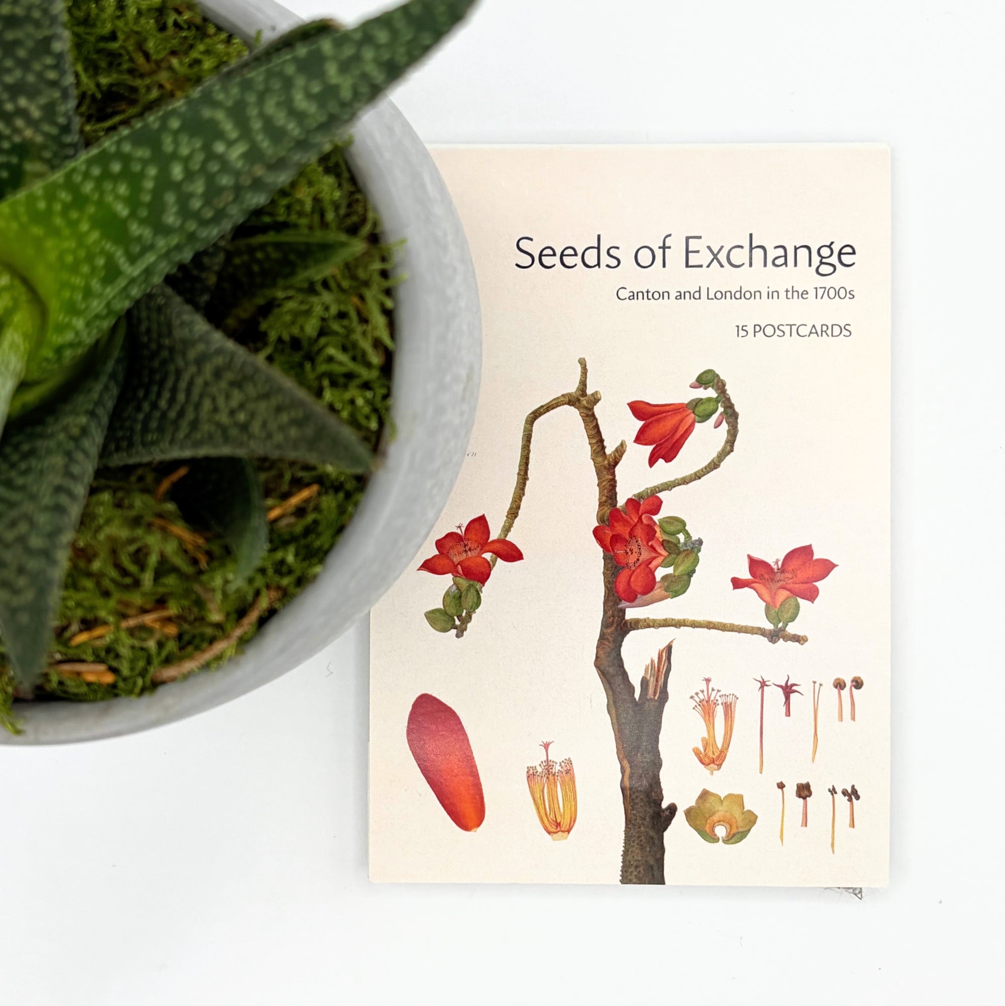 Seeds of Exchange Postcard Pack
