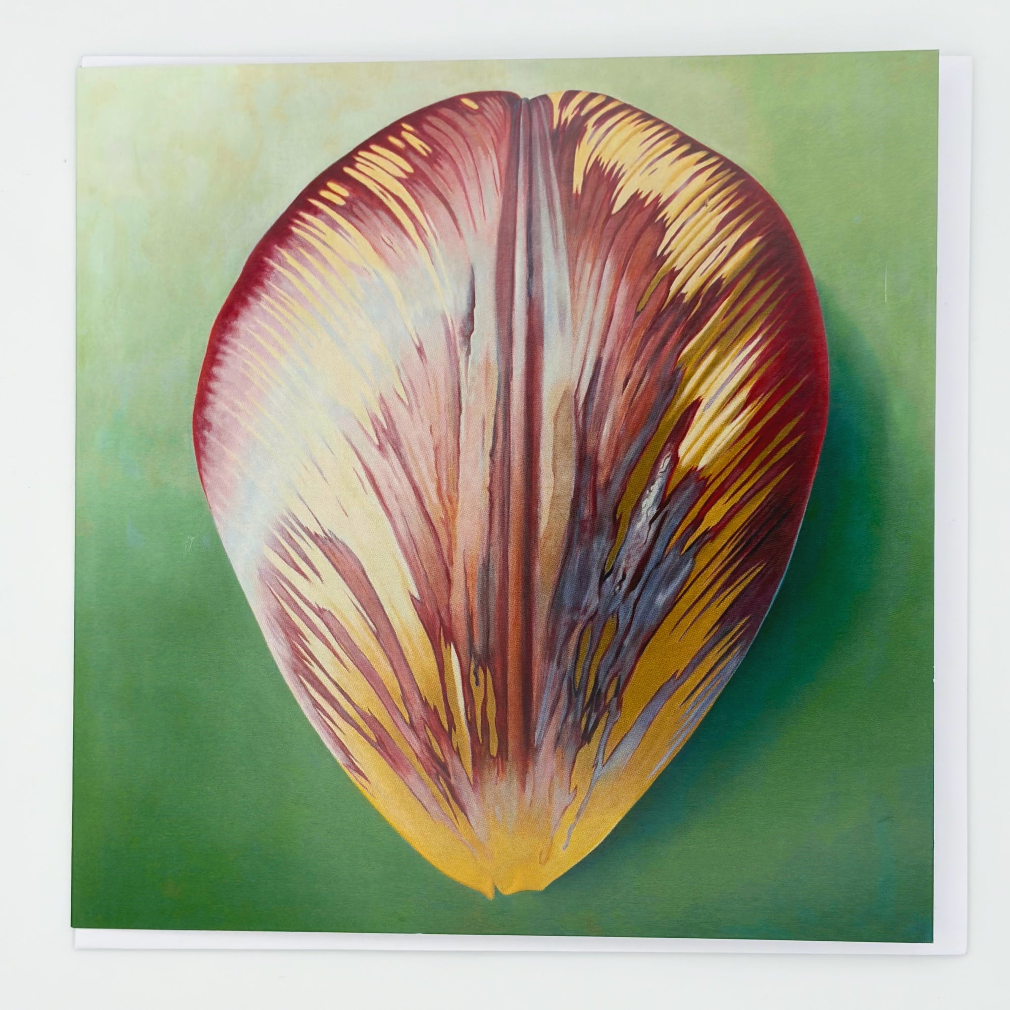 Rory McEwen Greeting Card: Tulip Petal I (red+yellow)