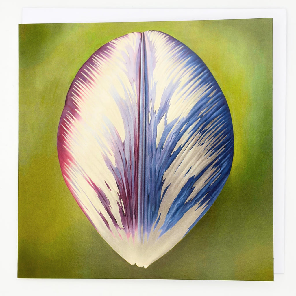 Rory McEwen Greeting Card: Tulip Petal II