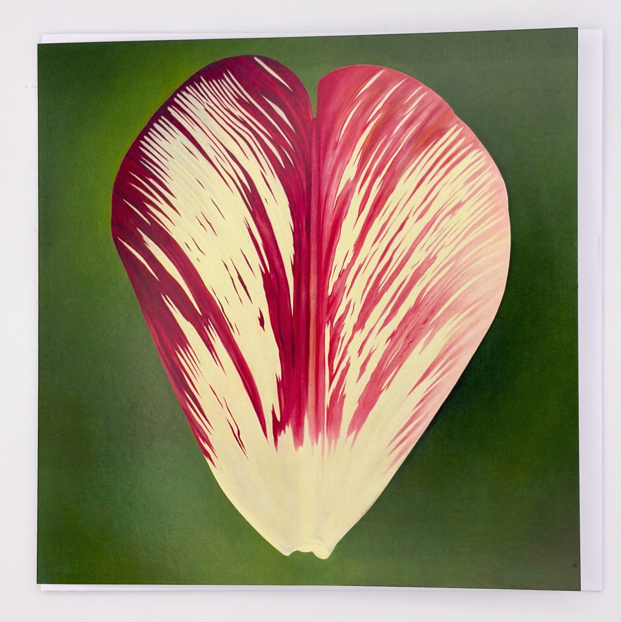 Rory McEwen Greeting Card: Tulip Petal III